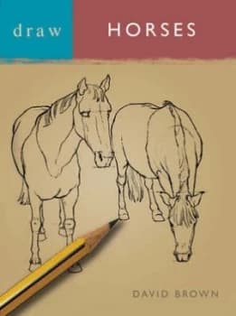 Draw Horses by David Brown Paperback