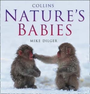 Natures Babies by Mike Dilger Hardback