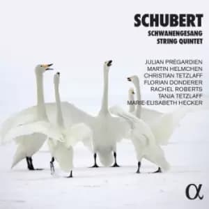 Schubert Schwanengesang/String Quintet by Franz Schubert CD Album