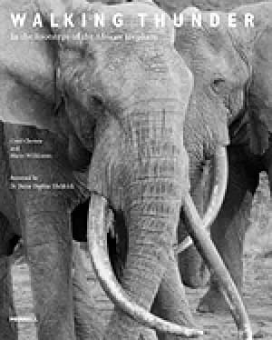 walking thunder in the footsteps of the african elephant