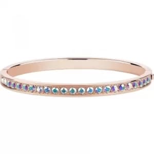 Ted Baker Clemara Hinge Crystal Bangle