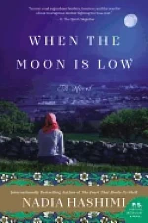 when the moon is low a novel