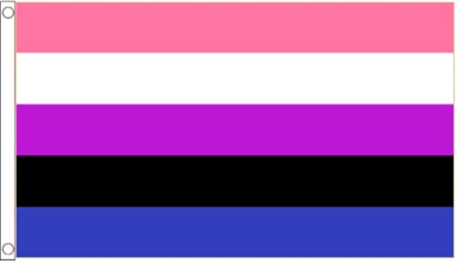 Shatchi 5ft x 3ft Genderfluid Flag Event Decorations Multi