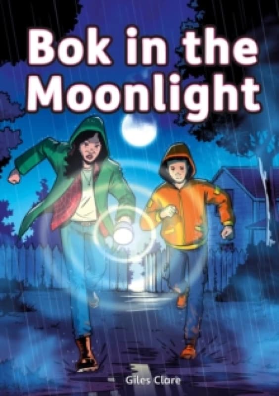 Bok in the Moonlight (Set 05) Paperback / softback