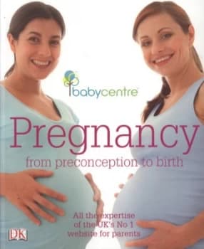 Pregnancy by Hilary Mandleberg Paperback