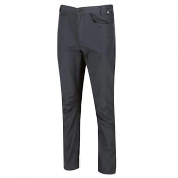 Regatta Delgado Walking Trousers ( Regular Leg) - Seal Grey