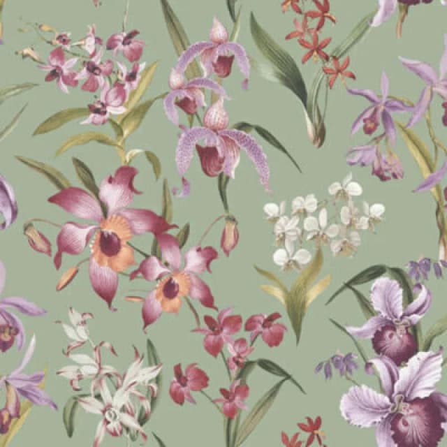 Rasch Maya Floral Sage Green Wallpaper Vibrant Flowers Modern Feature Wall WL-283654