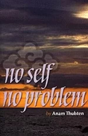 no self no problem awakening to our true nature