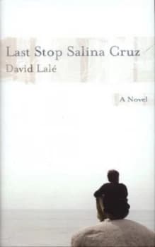 Last Stop Salina Cruz by David Lal Hardback