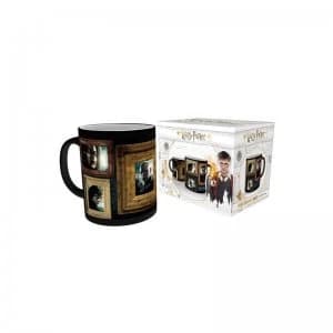 Harry Potter Portraits Heat Change Mug