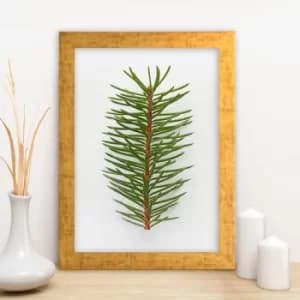 AC7406288862 Multicolor Decorative Framed MDF Painting