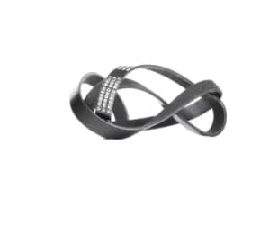 RIDEX V-ribbed belt 305P0082 Serpentine belt,Auxiliary belt AUDI,MERCEDES-BENZ,BMW,100 Limousine (4A2, C4),100 Avant (4A5, C4)