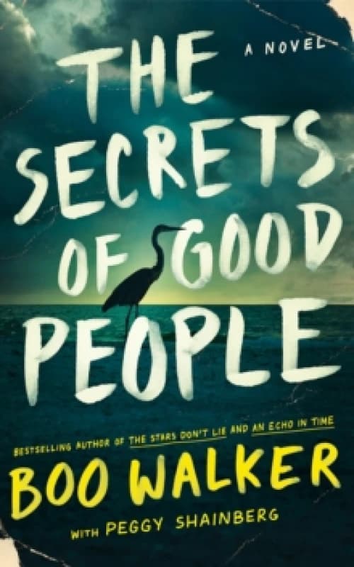 The Secrets of Good People : A Novel Hardback