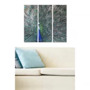 MDF453846 Multicolor Decorative MDF Painting (3 Pieces)