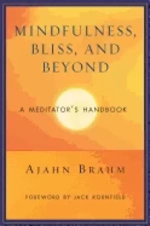mindfulness bliss and beyond a meditators handbook