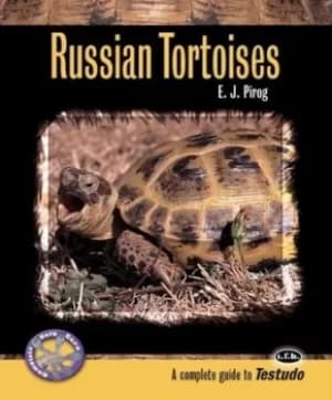 Russian tortoises by E. J Pirog