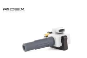 RIDEX Ignition coil SUBARU 689C0238 22433AA418,22433AA480,22433AA540 Coil pack,Ignition coil pack,Engine coil,Engine coil pack 22433AA640