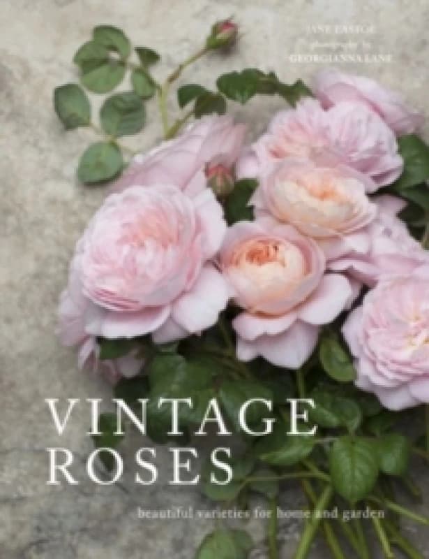 Vintage Roses : Beautiful varieties for home and garden Hardback