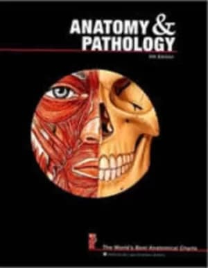 Anatomy and Pathology The Worlds Best Anatomical Charts by Anatomical Chart Company