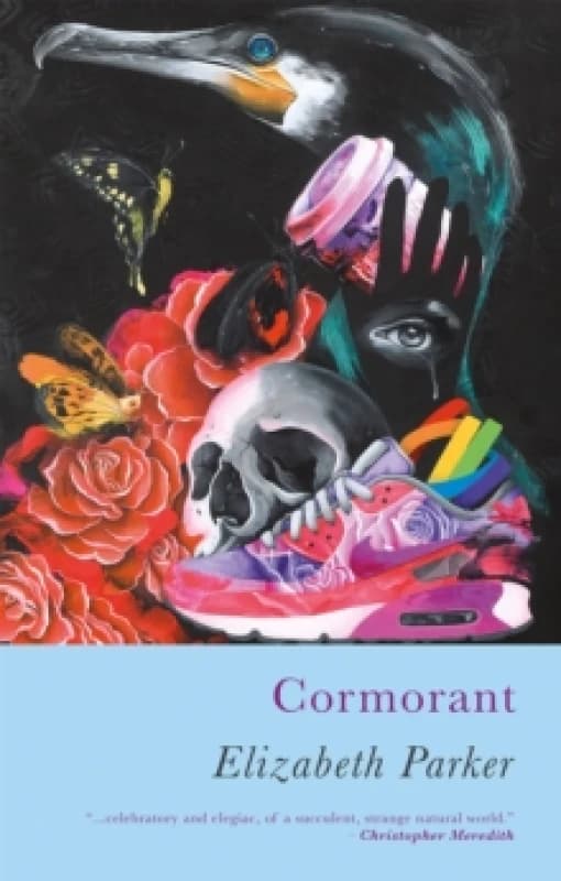 Cormorant Paperback / softback