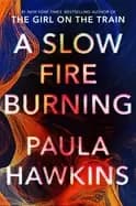 slow fire burning a novel