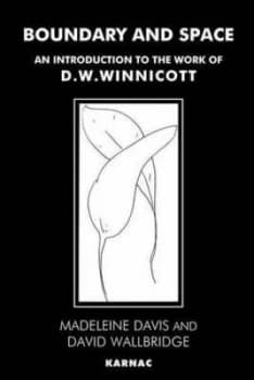 Boundary and Space by Madeleine Davis and David Wallbridge Book