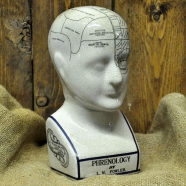 Minster Phrenology Crackle Head Ornament 12"