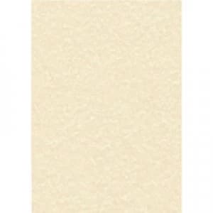 Decadry Parchment A4 Letterhead Paper 95gsm Champagne Pack of 100 PC