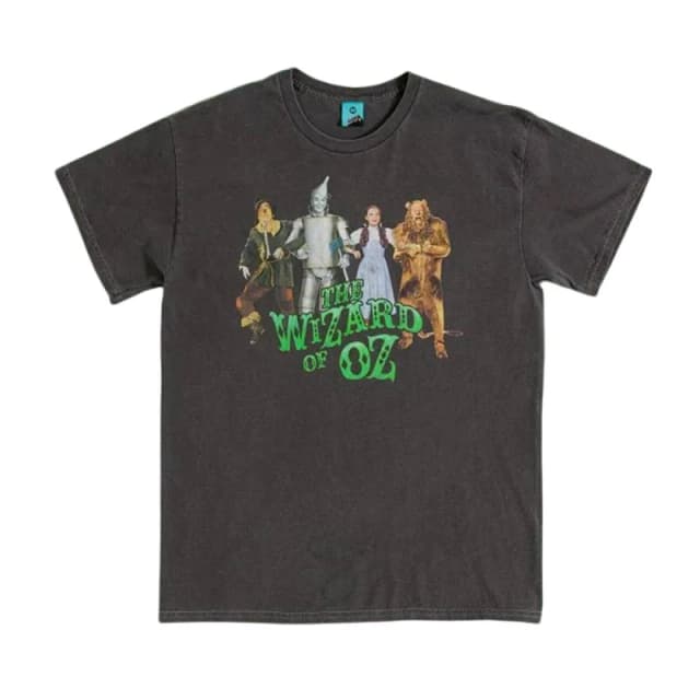 The Wizard of Oz Mens Line Up Vintage Wash Back Print T-Shirt in Charcoal Size: Medium Charcoal Male M