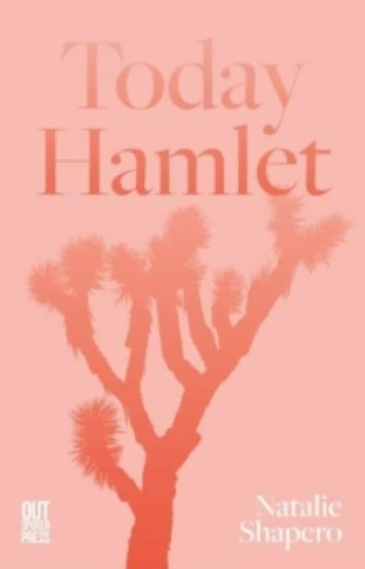 Today Hamlet Paperback / softback