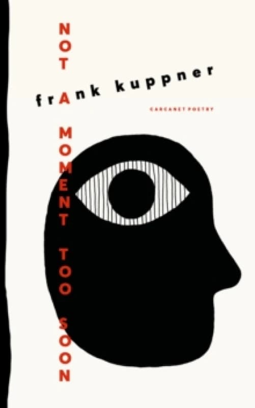 Not a Moment Too Soon Paperback / softback