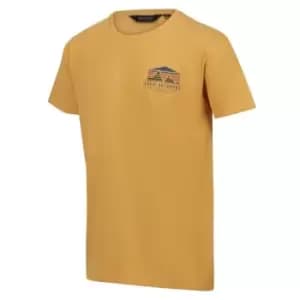 Regatta Cline VII Short Sleeve Tshirt - Gold Straw