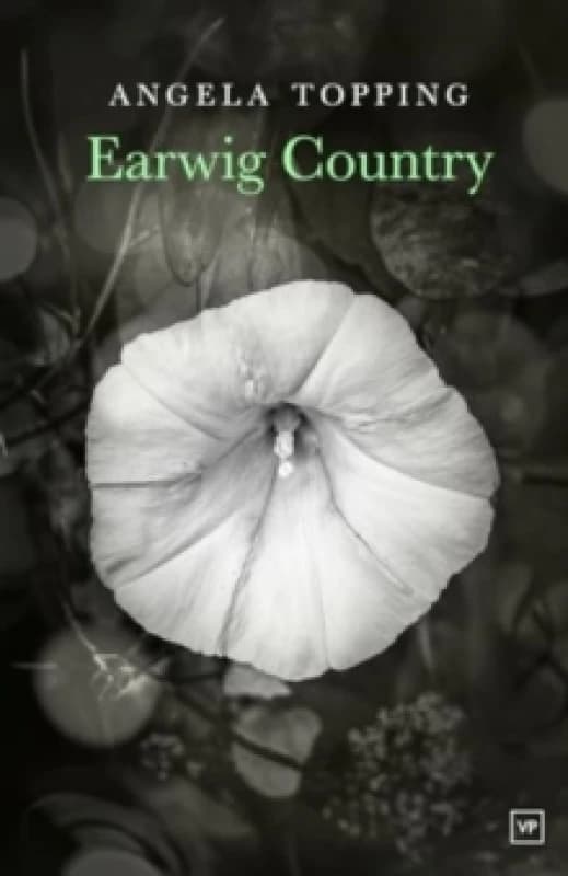 Earwig Country Paperback / softback
