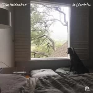 Tim Heidecker ‎- In Glendale Vinyl
