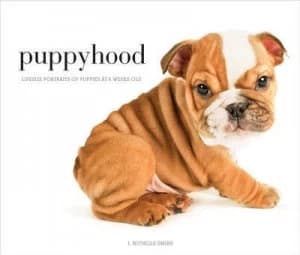 Puppyhood by J. Nichole Smith Hardback