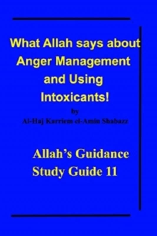 What Allah says about Anger Management and Using Intoxicants! : Allah's Guidance Study Guide 11 Paperback / softback
