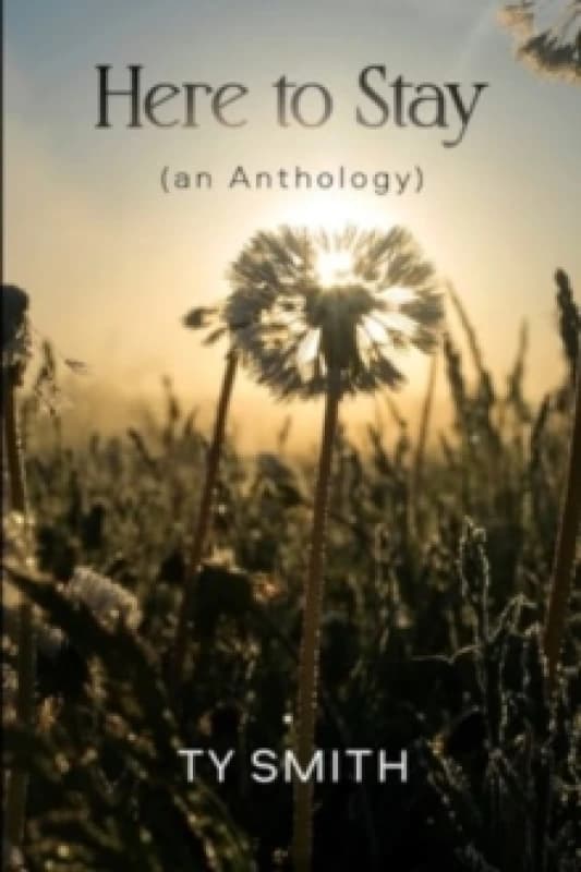 Here to Stay (an Anthology) Paperback / softback