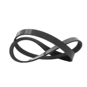 RIDEX V-ribbed belt 305P0055 Serpentine belt,Auxiliary belt VW,AUDI,OPEL,Golf V Schragheck (1K1),TOURAN (1T1, 1T2),Passat Variant (3C5),GOLF VI (5K1)