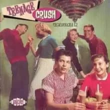 Teenage Crush Volume 2