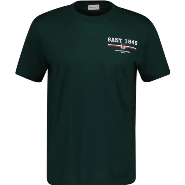 Gant Mens Graphic Regular Fit T-Shirt Tarten Green male S