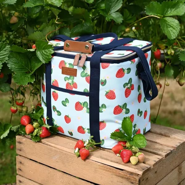 Strawberries & Cream Insulated 20 Litre Family Sized Picnic Cool Bag Aqua