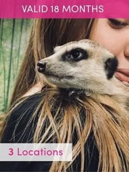 Activity Superstore Meerkat Encounter For Two