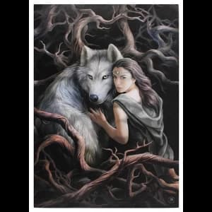 Large Soul Bond Canvas Picture by Anne Stokes
