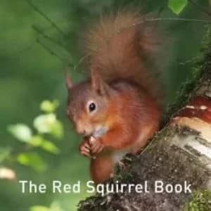 The red squirrel book by Jane Russ