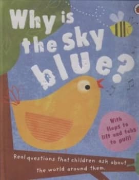 Why Is the Sky Blue by Geraldine Taylor and Amy Schimler Book