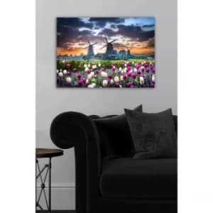 1481242091-5070 Multicolor Decorative Canvas Painting