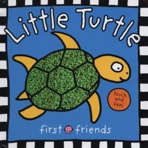 Little Turtle Hardback