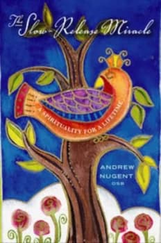 The Slow-Release Miracle by Andrew Nugent Paperback