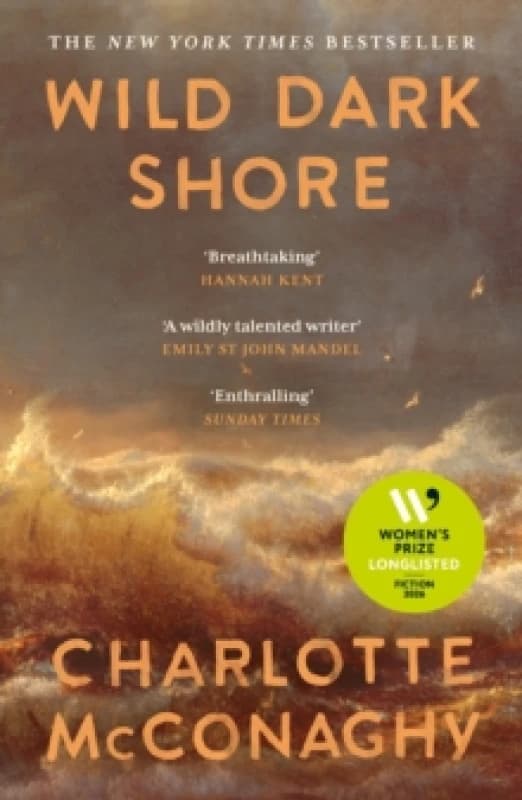 Wild Dark Shore Paperback / softback