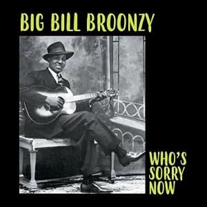 Big Bill Broonzy - Whos Sorry Now Vinyl